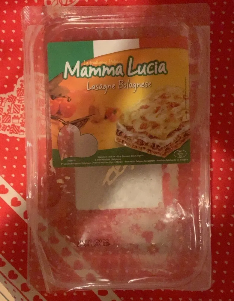 Lasagne bolognaise