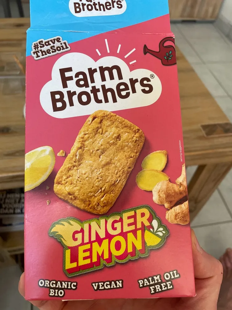 Vegan Koekjes Met Gember En Citroen