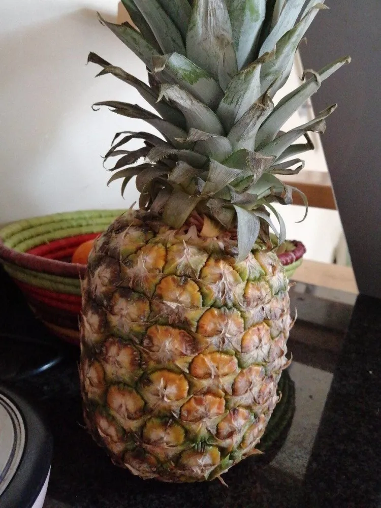 ananas