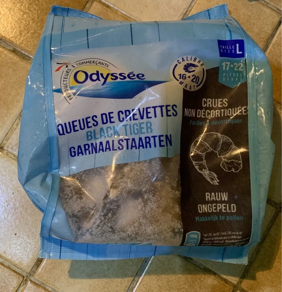 Odyssée queue de crevettes