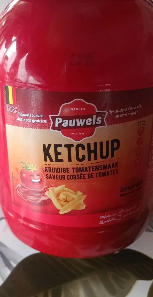 Ketchup