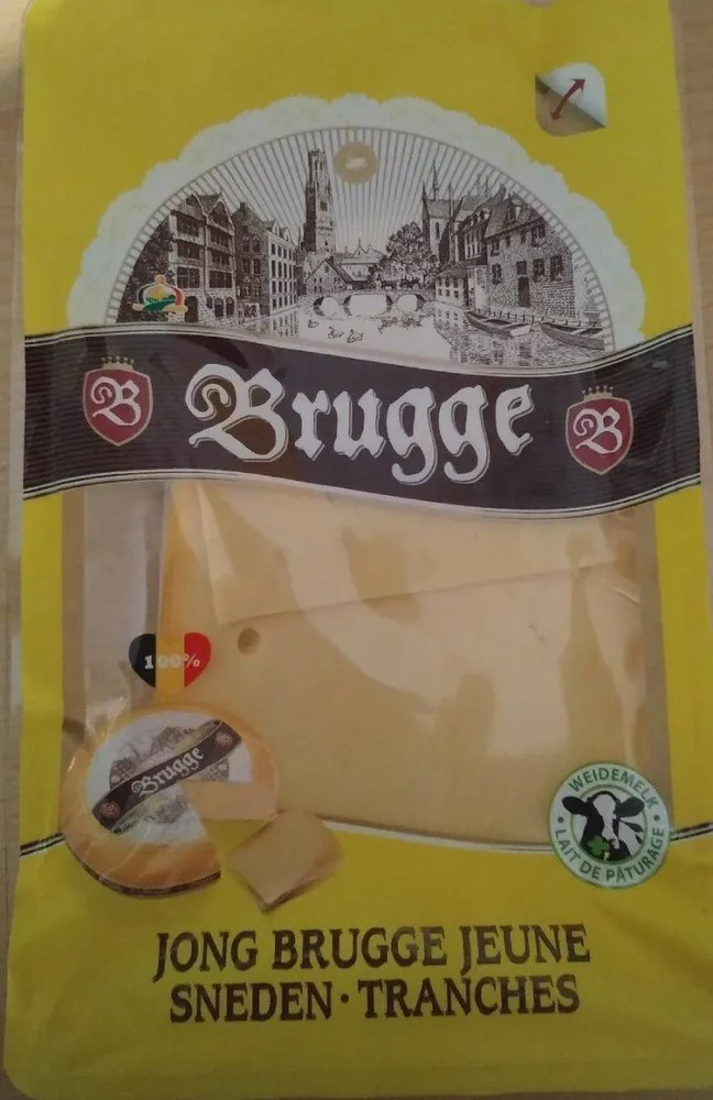 Brugge jeune en tranches