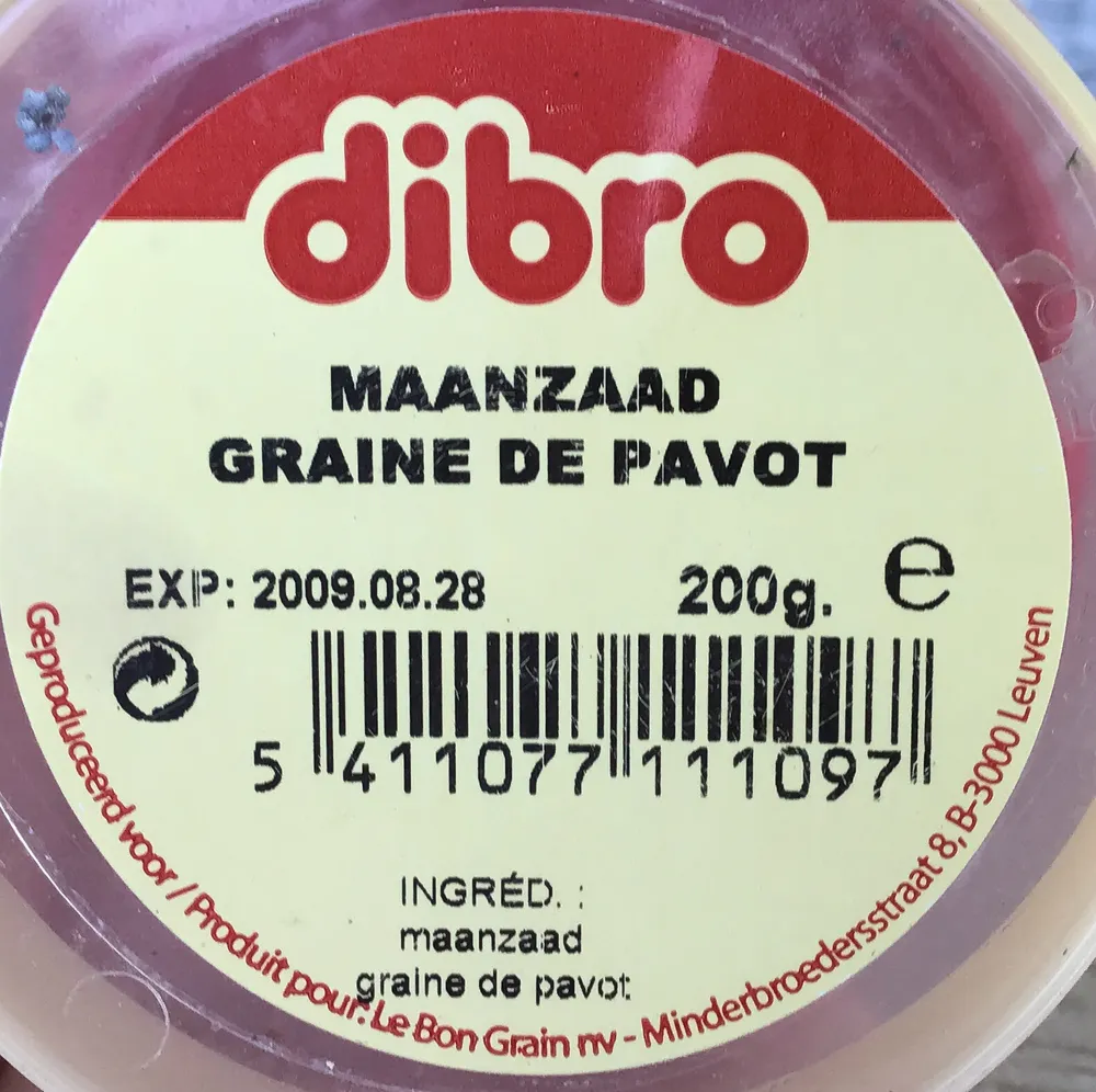 Maanzaad