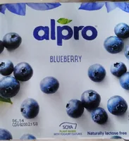 Blueberry