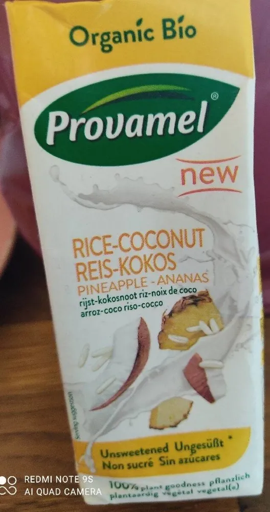 Rice coconut