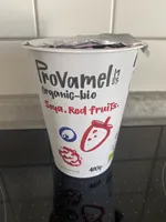 Provamel Biologischer Fermentiertes Sojaprodukt, Waldfrüchte, 400g