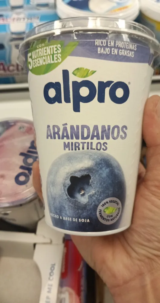 Danone ALPRO® Joghurt Soja Heidelbeere 400g