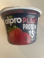 Plant Protein