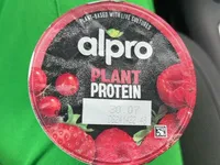 Plant protein