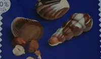 Chocolate seashells