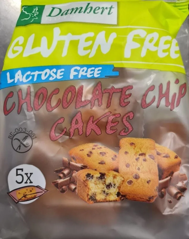 Chocolate Chip Cakes