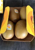 kiwi