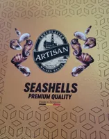 Seashells