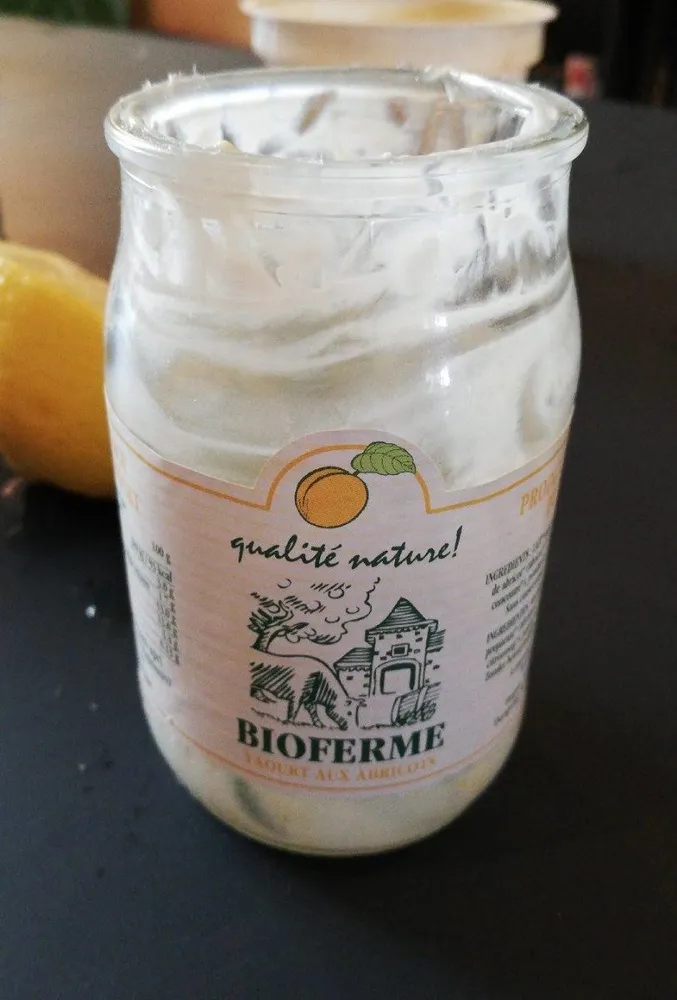 Yaourt aux abricots
