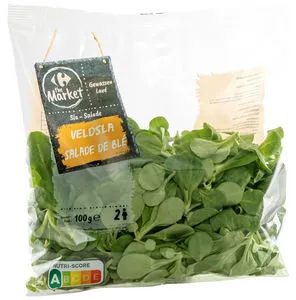 Salade - Mâche