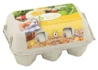 Oeufs de poules élevées au sol