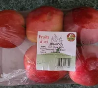Pomme Jonagold