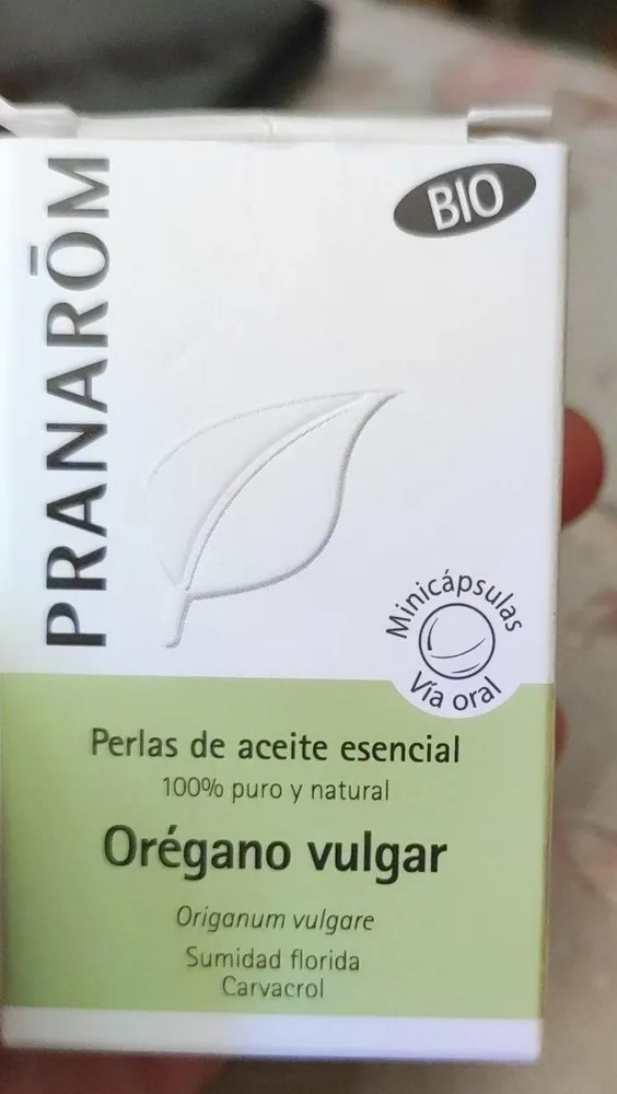 Orégano vulgar