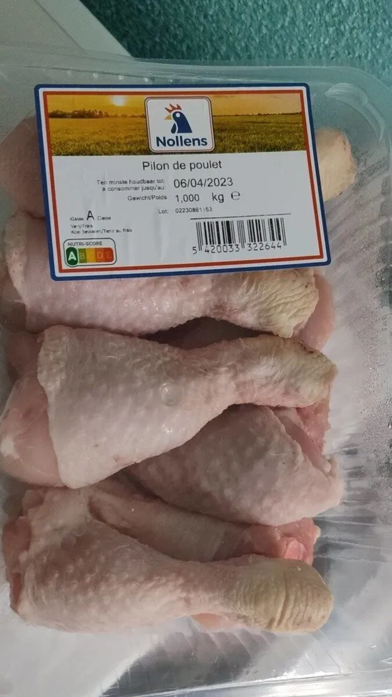 Pilon de poulet