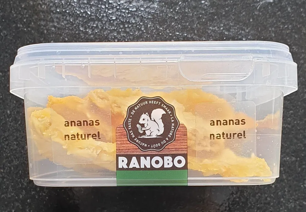 Ananas naturel
