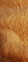 Majonese