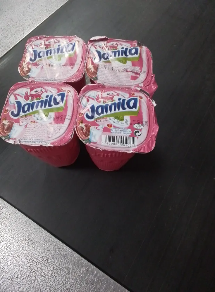 RAYBI  JAMILA