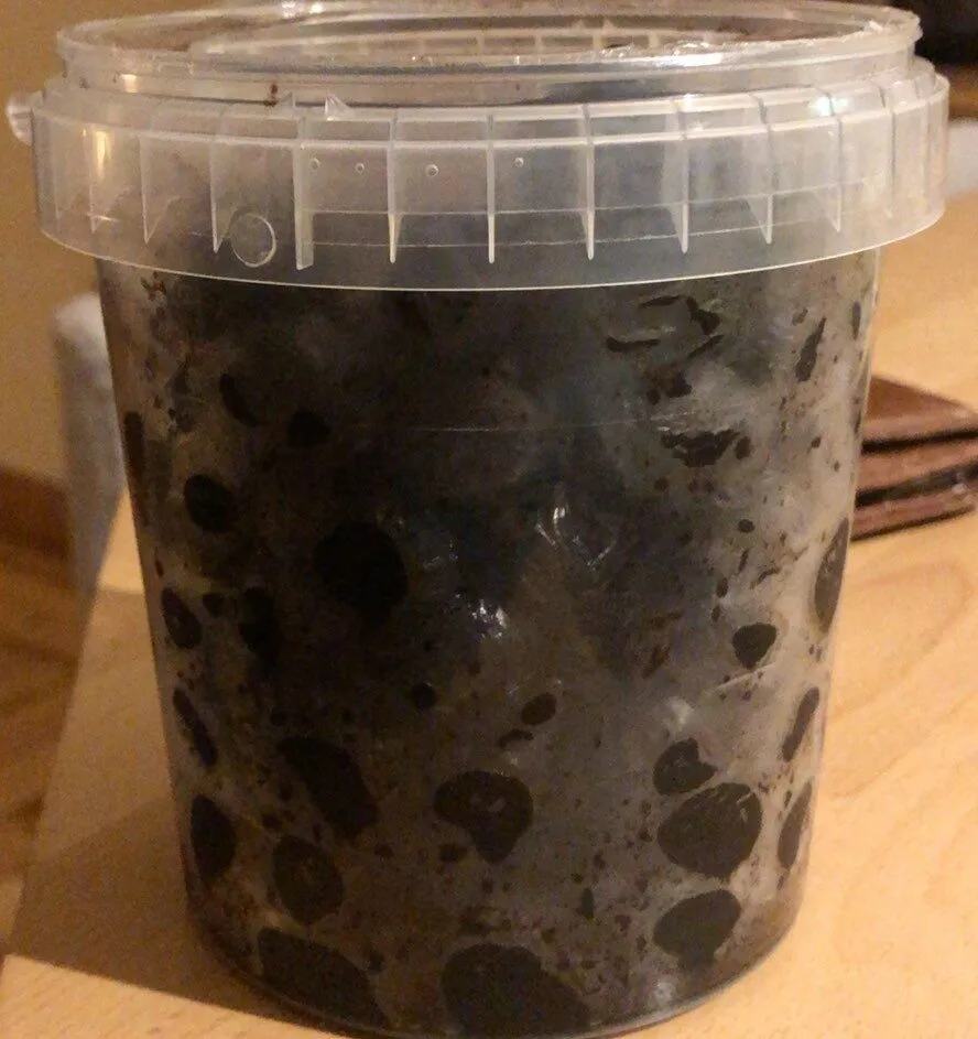 Olives noires (façon Grec)