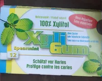 Chewing Gum Menthe Verte Spearmint 100% Xylitol