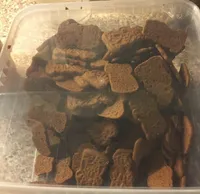 Speculoos