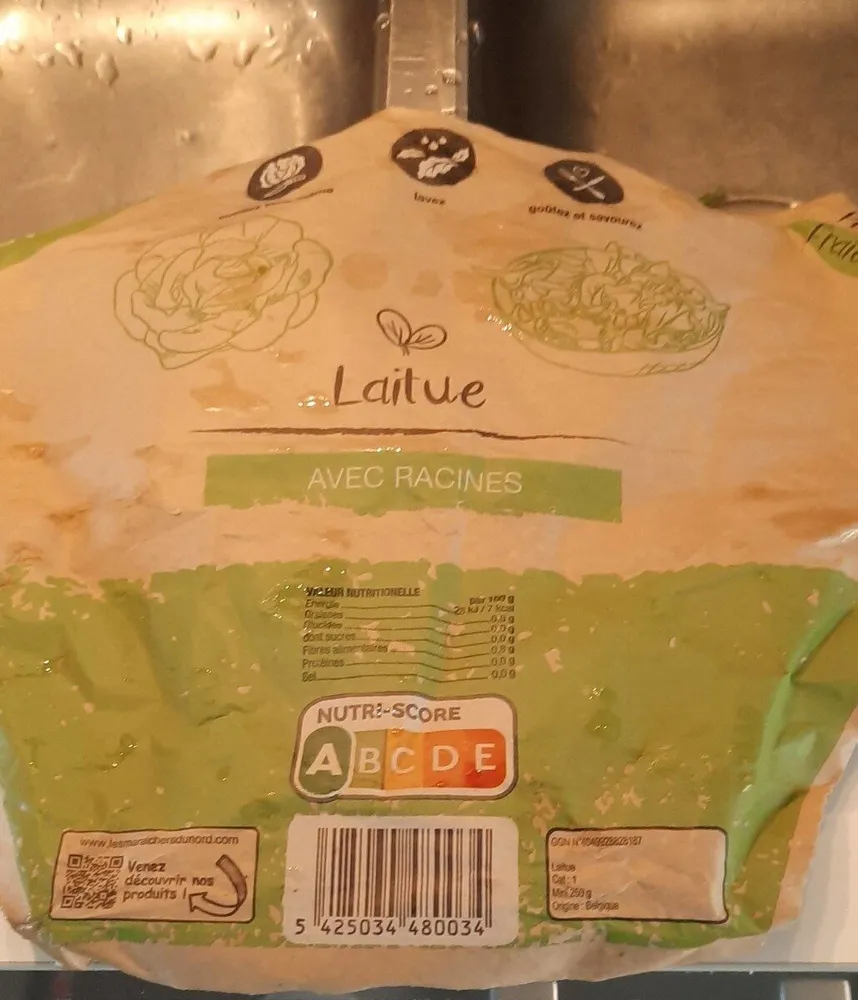 Laitue avec racines