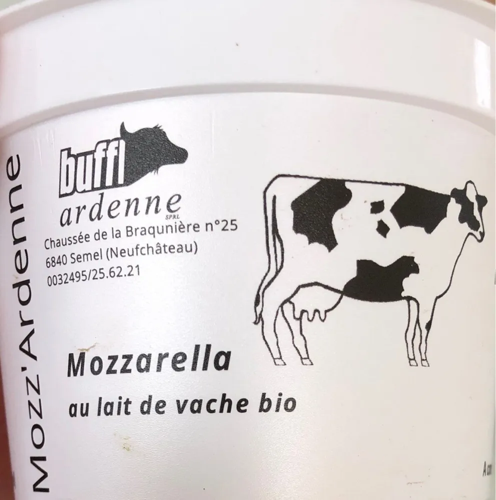 Mozzarella au lait de vache bio