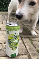 Wise Ginger Lime