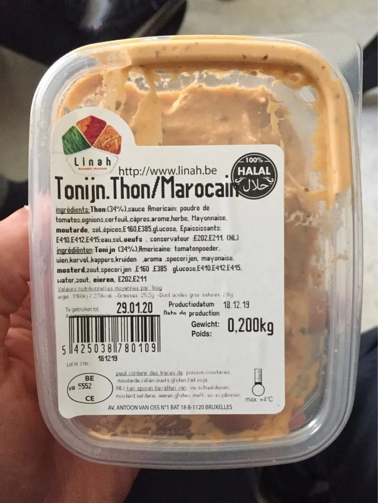 Thon marocain