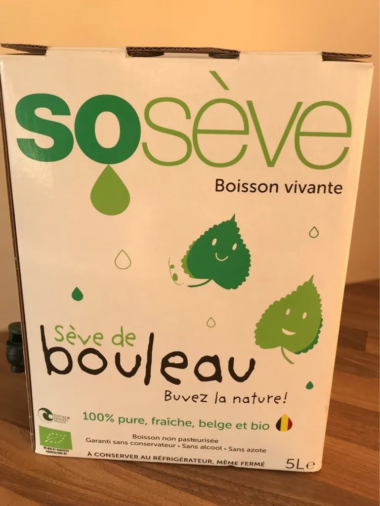Sève de bouleau