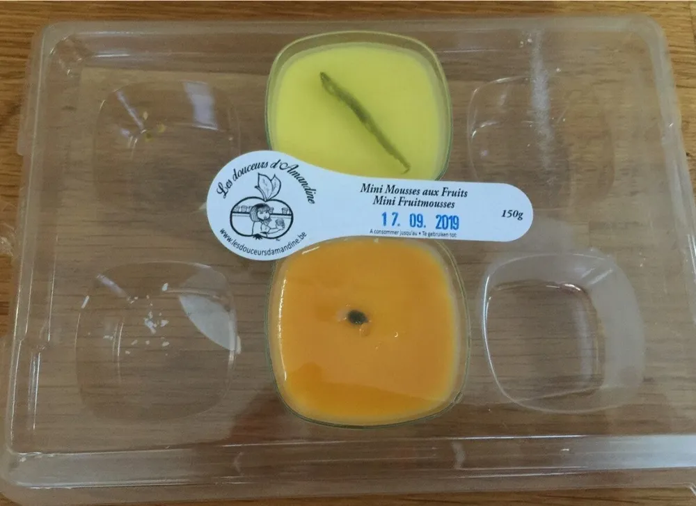 Mini Mousses aux Fruits