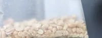 Cacahuètes bio grillées et salées