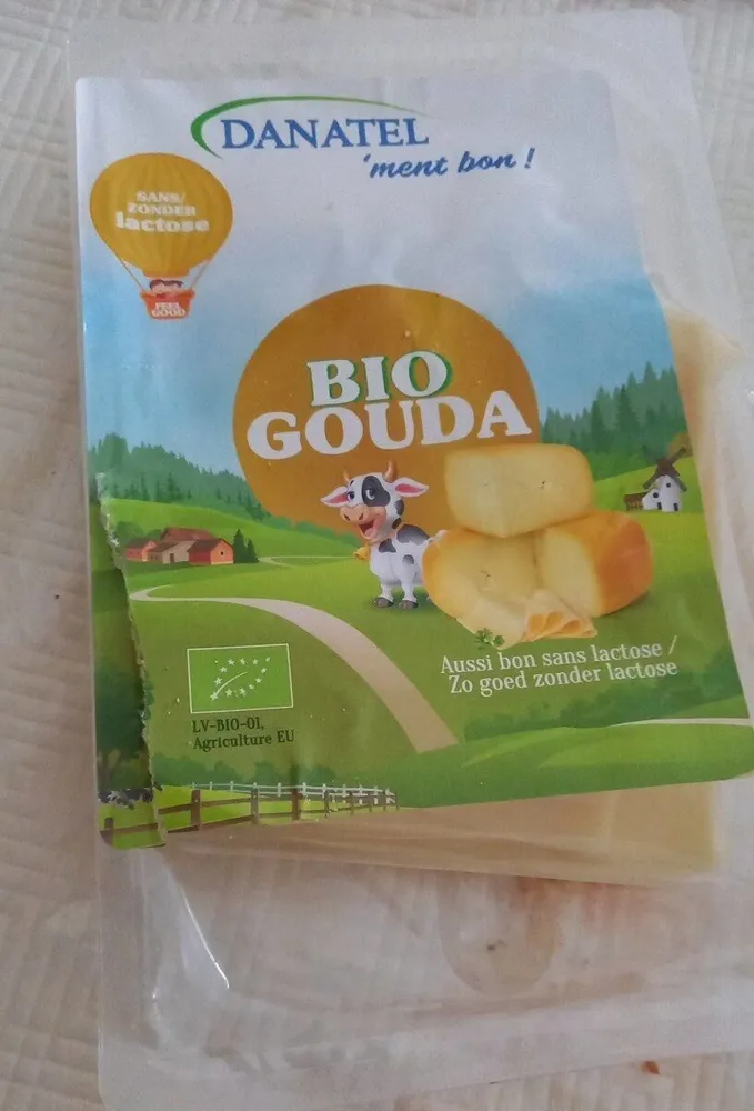 Bio gouda
