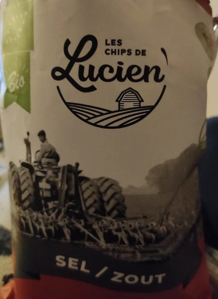 Chips au sel