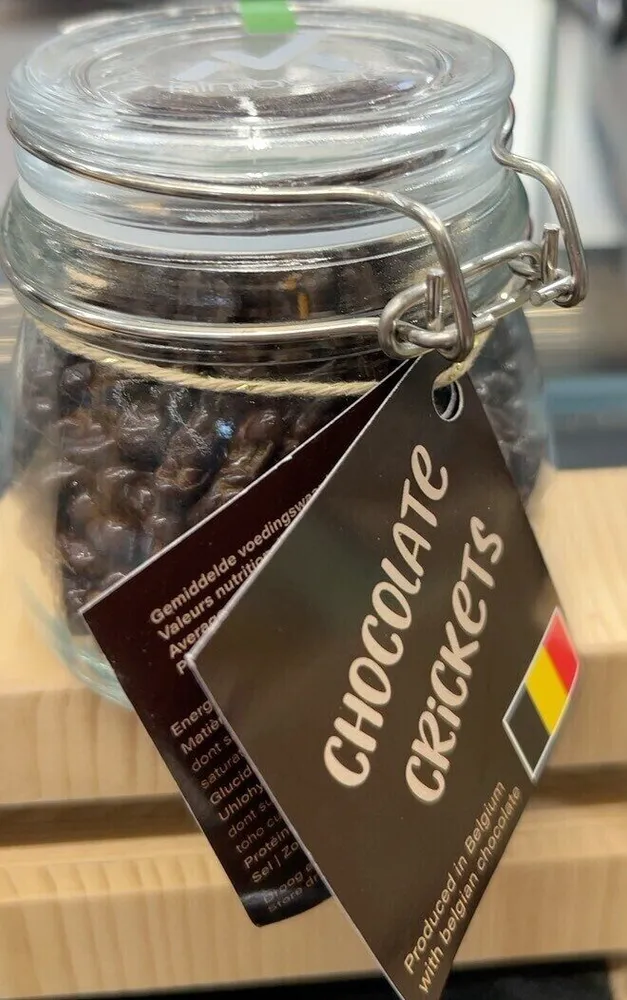 Chocolate crickets