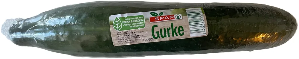 Gurke