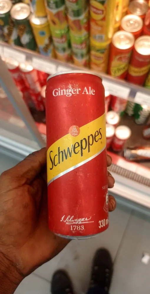 boisson ginger ale 330ml Schweppes can