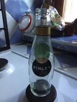 Finley ginger sle