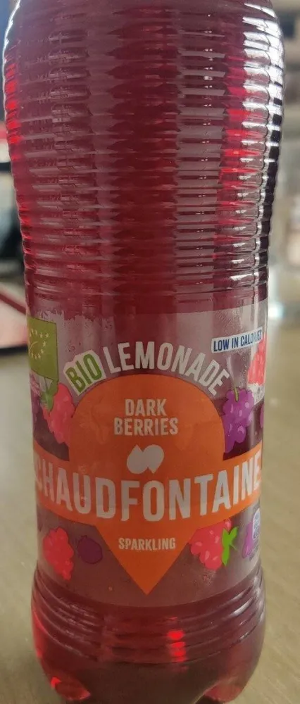 Chaudfontaine biolemonade dark berries