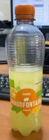 Bio lemonade - Orange