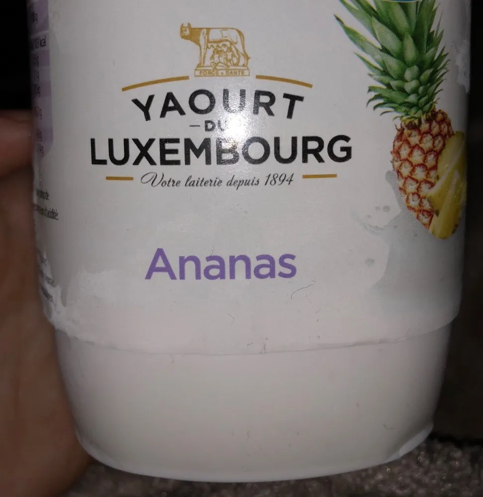Yaourt de luxmbourg