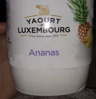 Yaourt de luxmbourg
