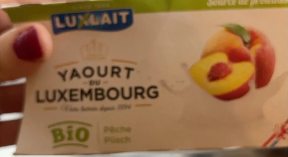 Yaourt de luxembourg