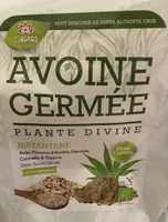 Avoine germée