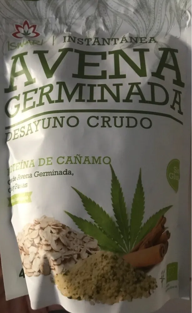 Avena germinada