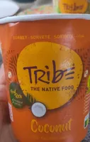 Tribe The native food Coconut